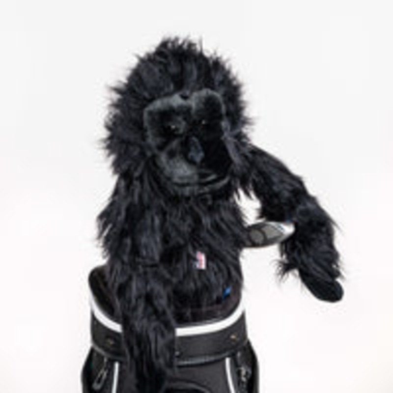 Daphne’s Headcover – Gorilla