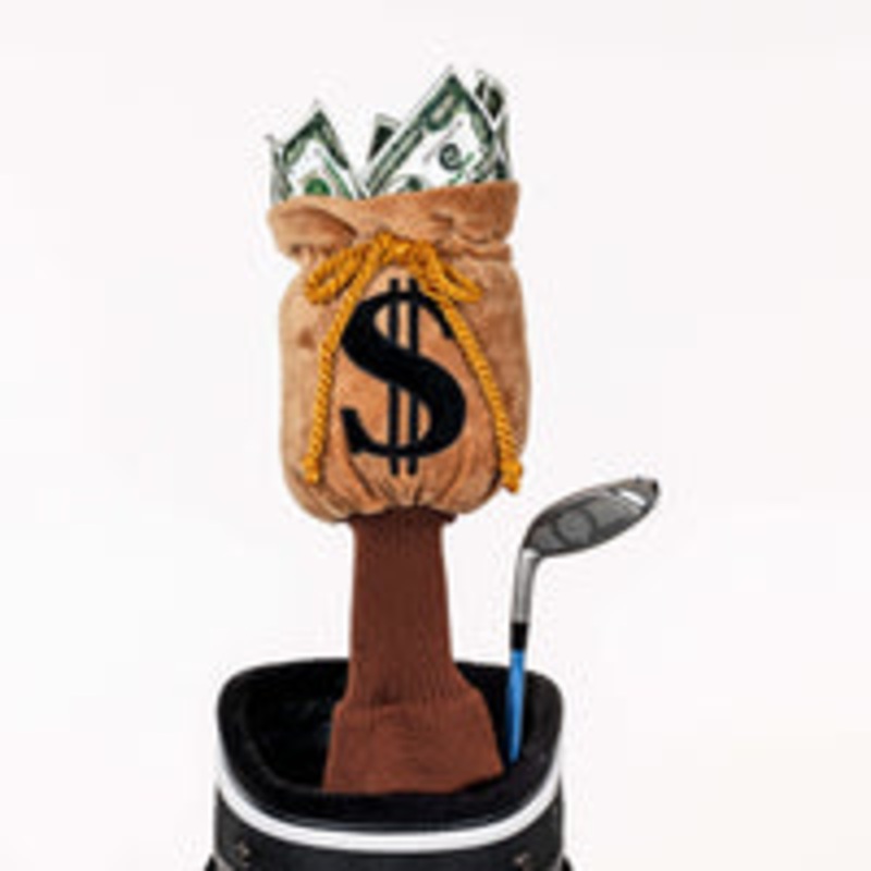 Daphne’s Headcover – Money Bag