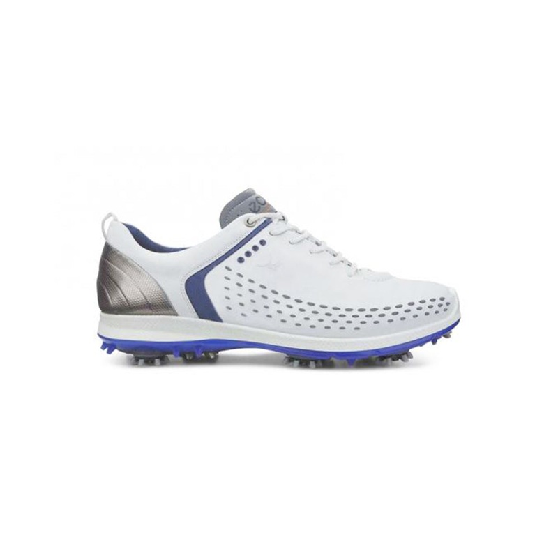 Biom G2|Concrete/Royal|White/Dark Shadow|43