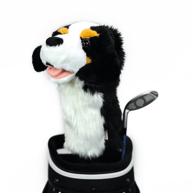 Daphne’s Headcover – Bernese Mountain Dog